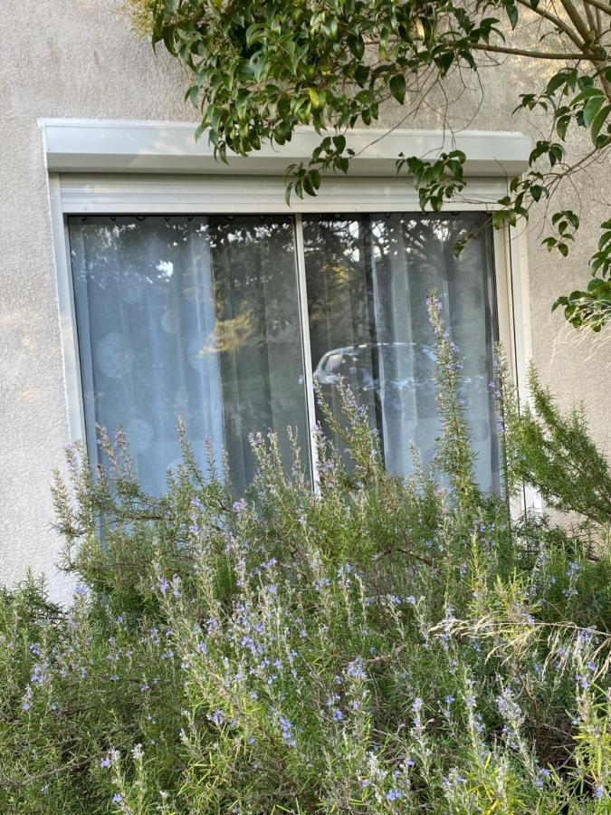 Bed and Breakfast Mas Des Tournevents Lézignan-Corbières Exterior foto
